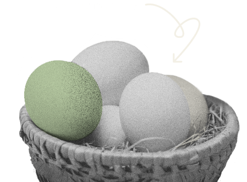 Eggs in a basket