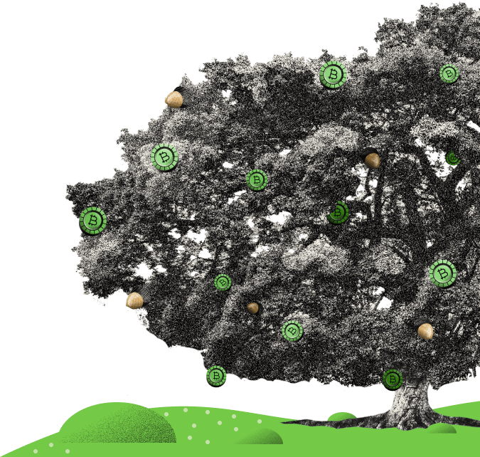 Image of tree