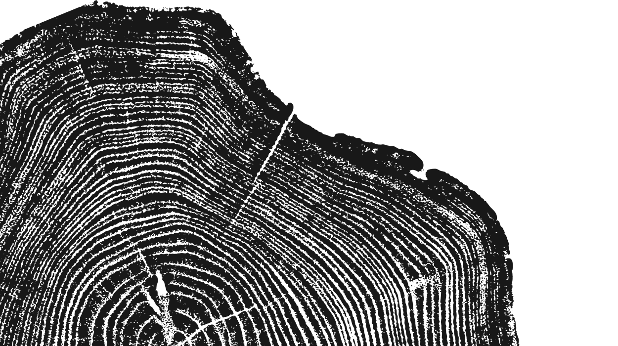 Stump image