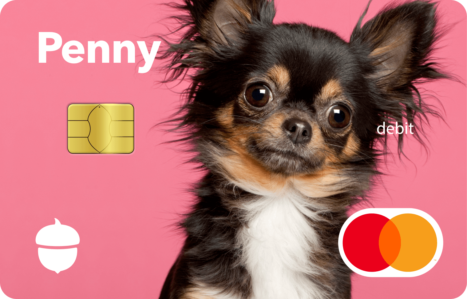 Dog Penny