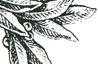 Icon of leaves